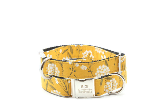 Dandelion dog collar