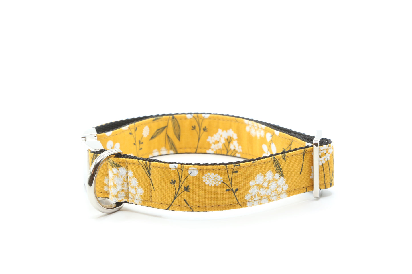 Dandelion dog collar