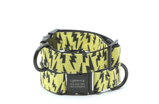 Lightning Bolt Dog Collar