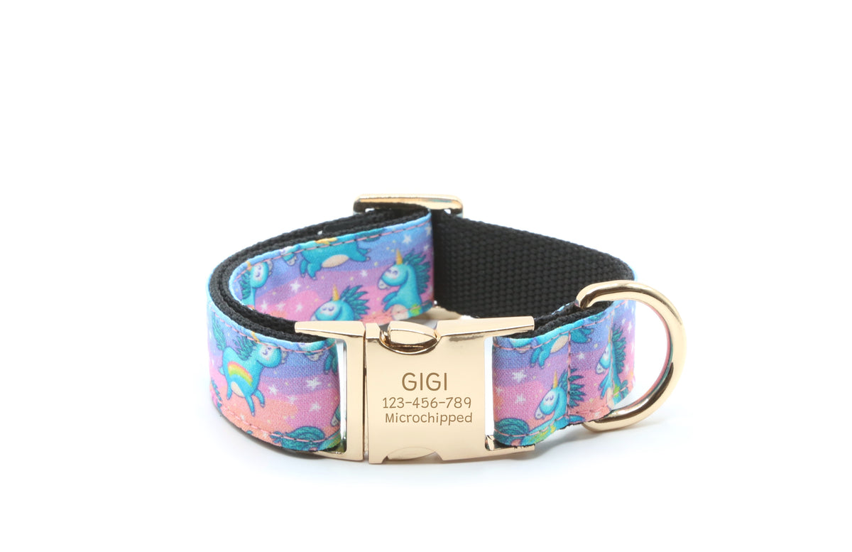 Flying Rainbow Unicorns dog collar