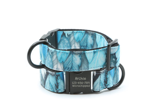 Blue Feathers dog collar