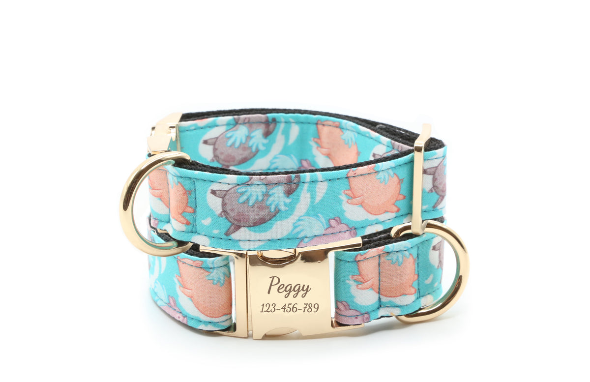 Flying Pigs dog collar