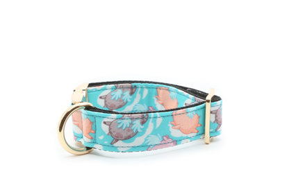 Flying Pigs dog collar
