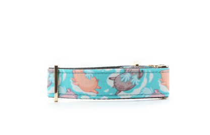 Flying Pigs dog collar