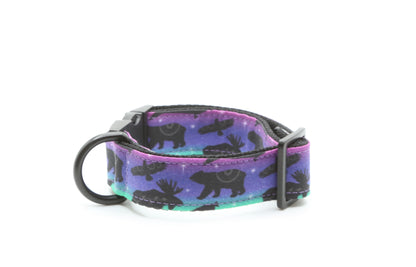 Northern Lights Wildlife Dog Collar