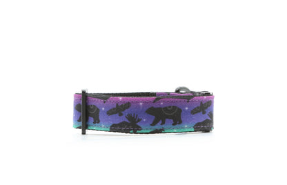 Northern Lights Wildlife Dog Collar