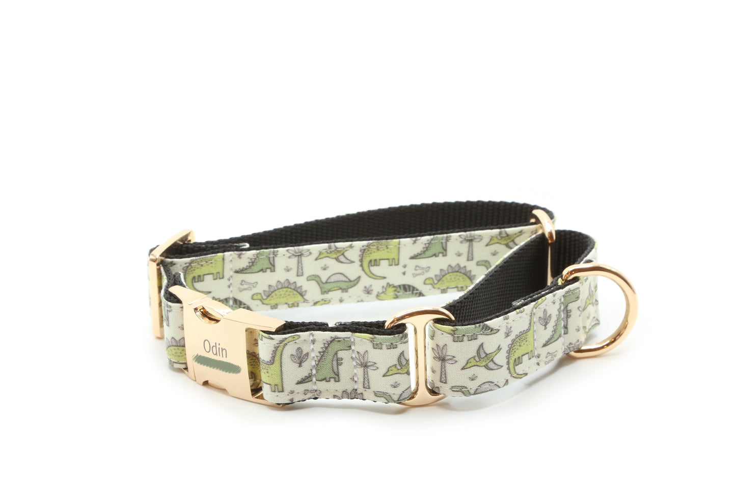 Dinosaur dog collar