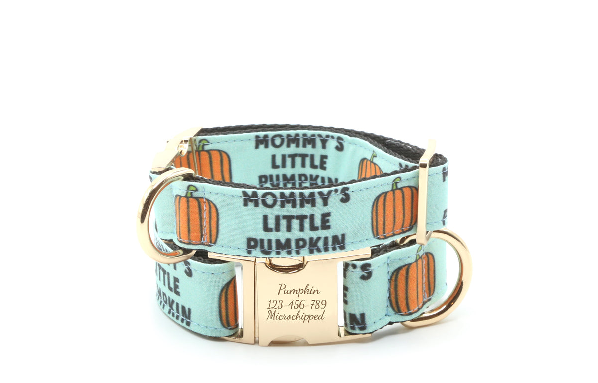 Mommy’s Little Pumpkin Dog Collar