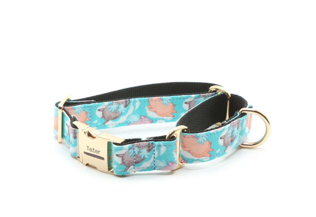 Flying Pigs dog collar