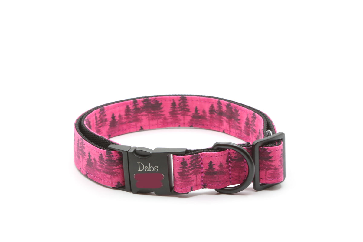 Fuchsia Forest Mist Dog Collar
