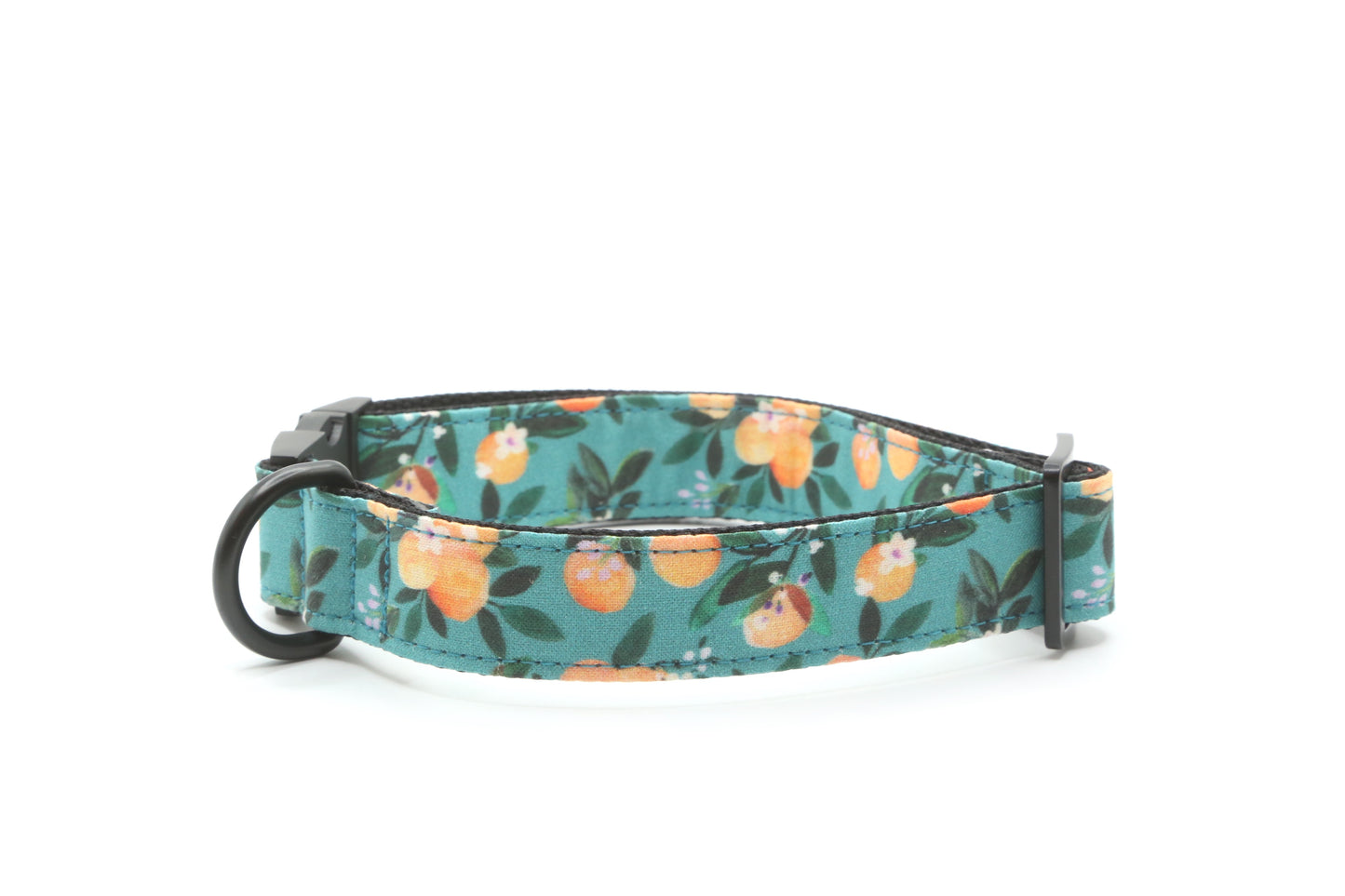 Clenmentine dog collar