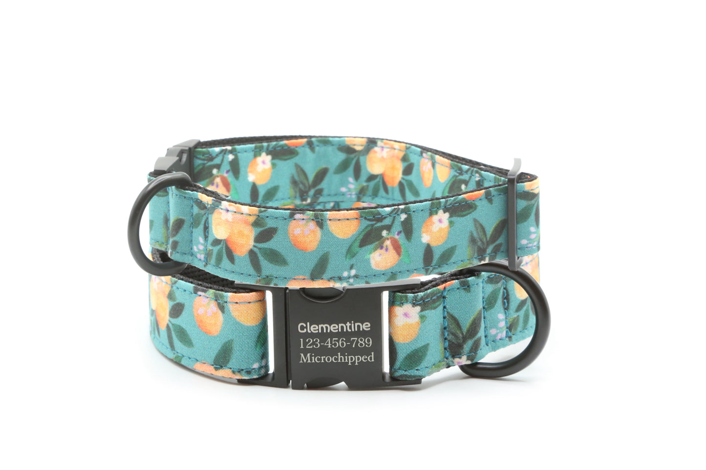 Clenmentine dog collar