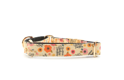 Ray of Fucking Sunshine Dog Collar