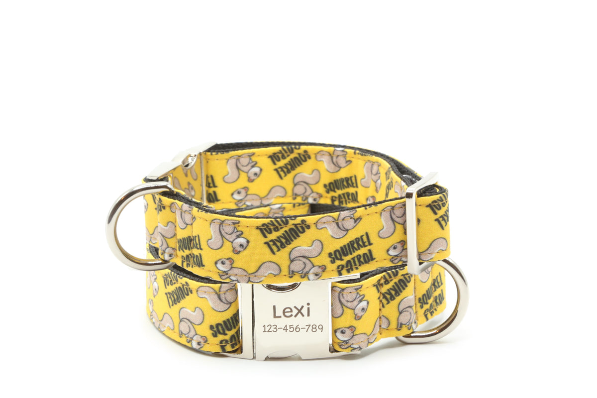 Squirrel Patrol Dog Collar