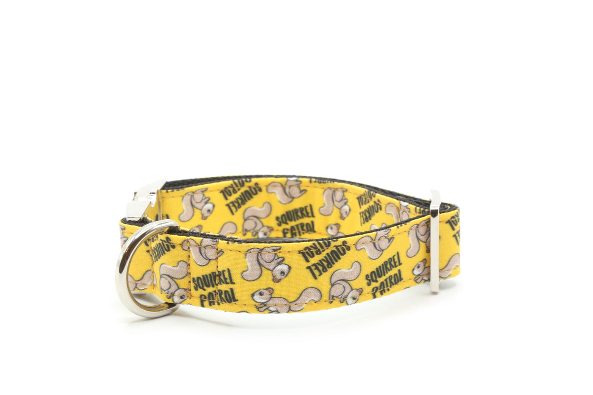 Squirrel Patrol Dog Collar