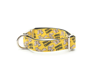 Squirrel Patrol Dog Collar