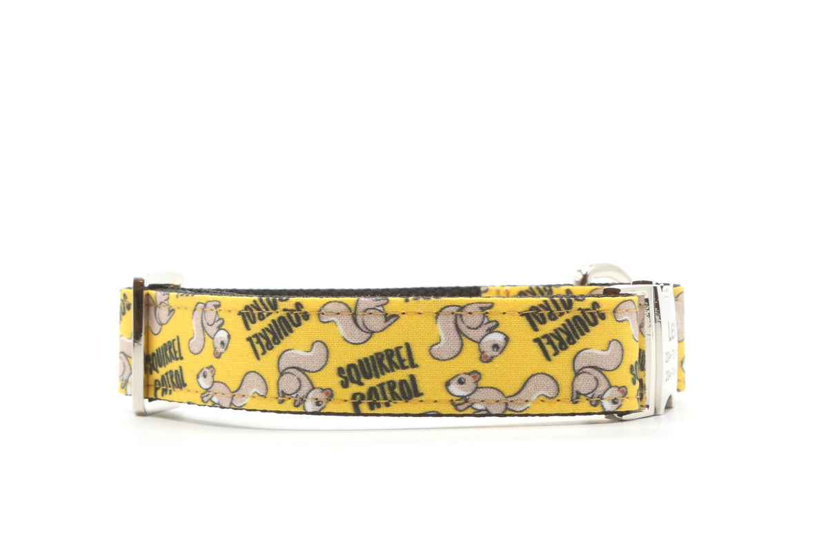 Squirrel Patrol Dog Collar