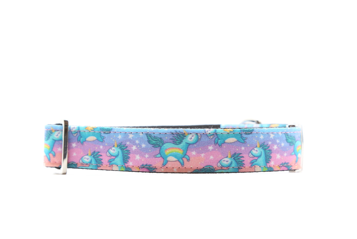 Flying Rainbow Unicorns dog collar