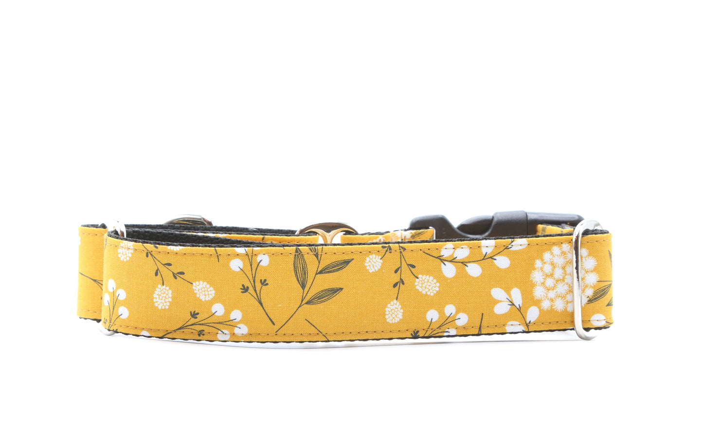 Dandelion dog collar