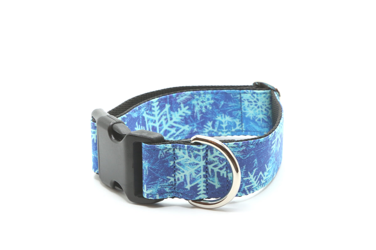 Ice Blizzard Dog Collar