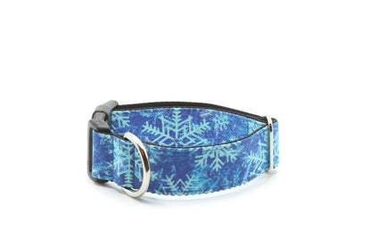 Ice Blizzard Dog Collar