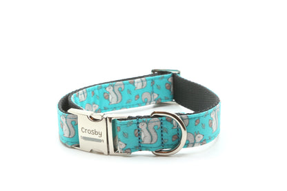 Acorn Squirrel Dog Collar