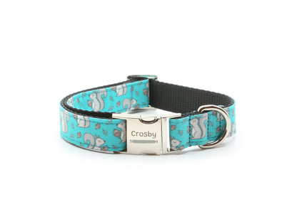 Acorn Squirrel Dog Collar