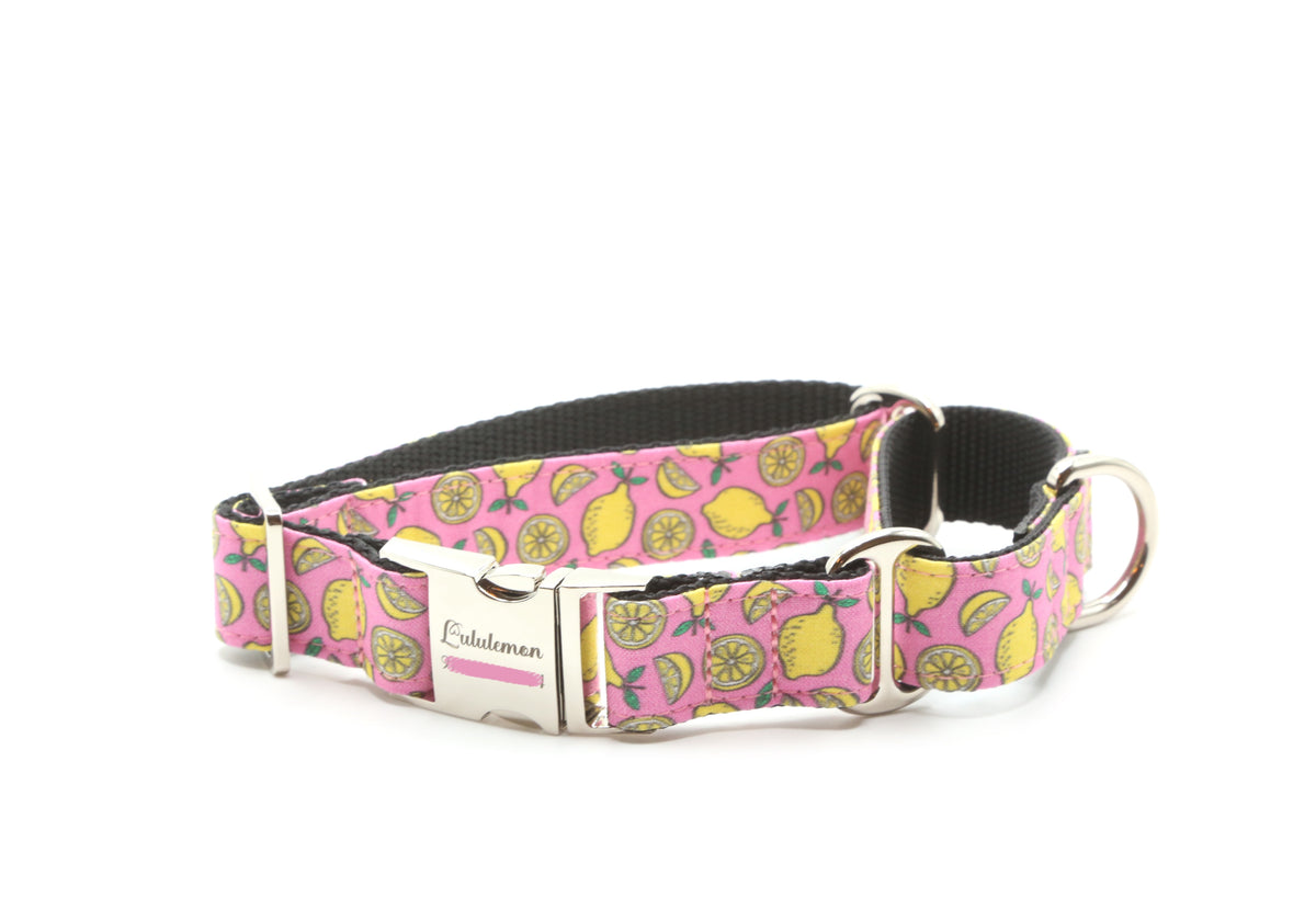Sweet Lemon Dog Collar