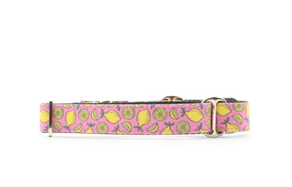 Sweet Lemon Dog Collar
