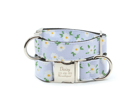Daisy Meadow Dog Collar