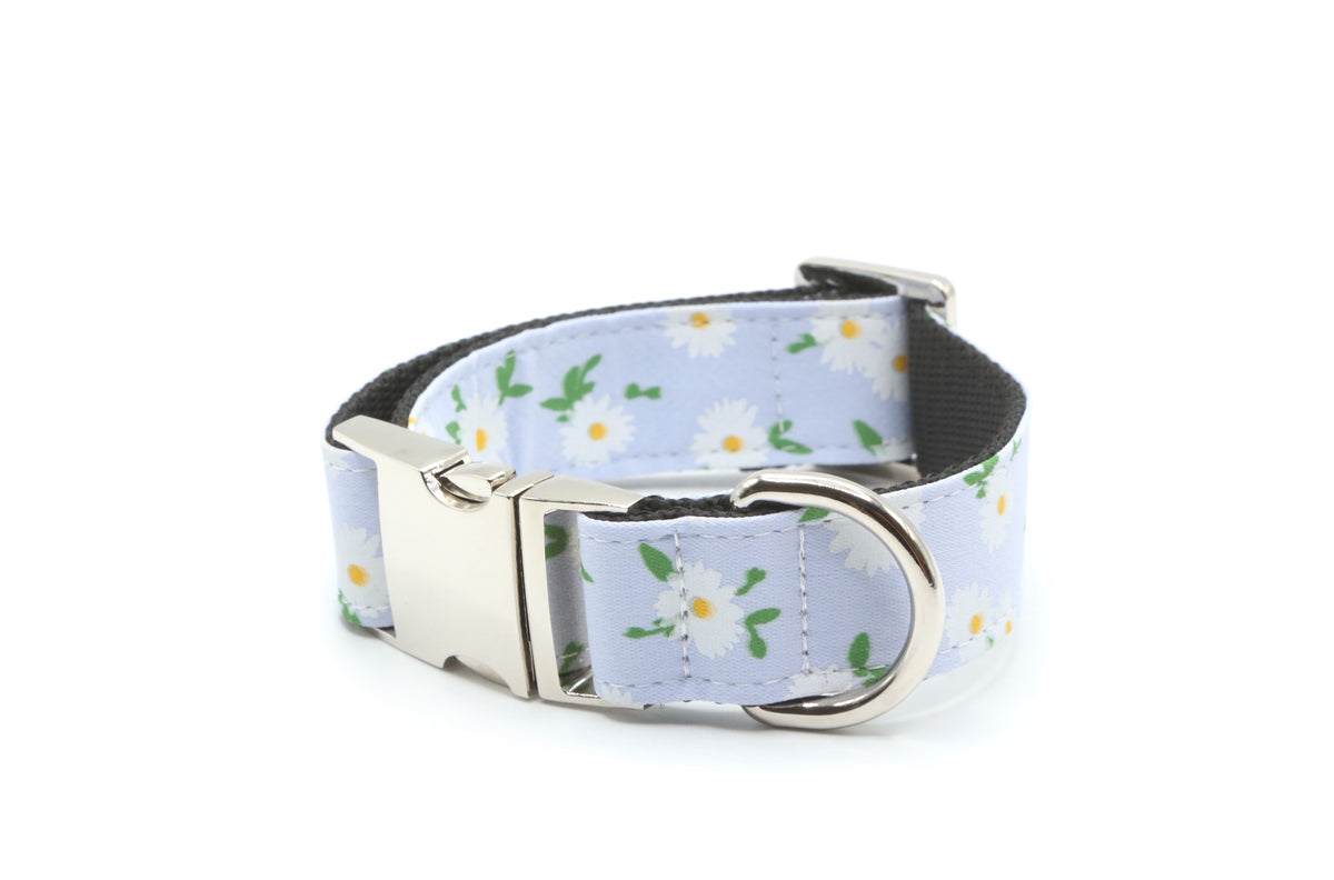 Daisy Meadow Dog Collar