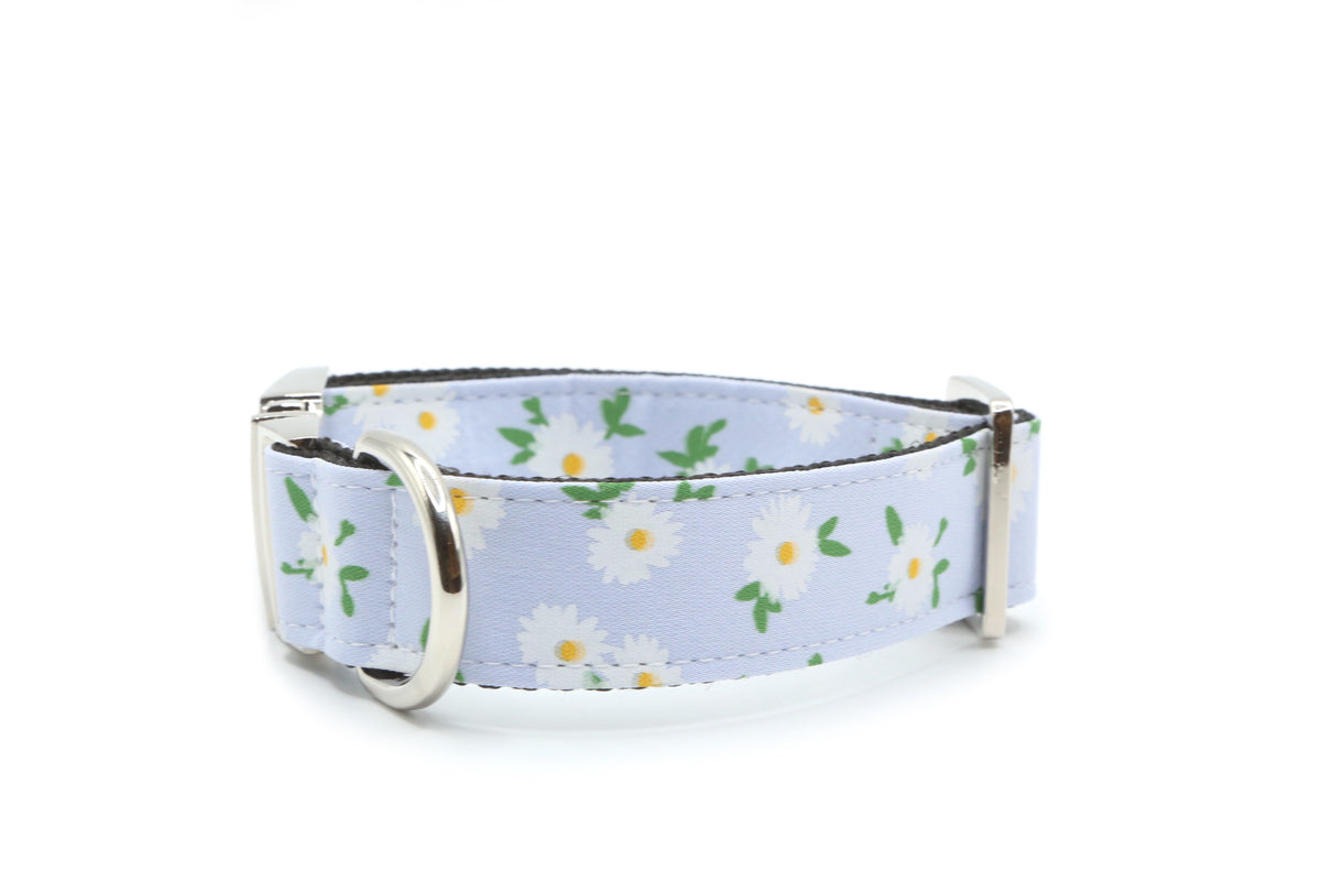 Daisy Meadow Dog Collar
