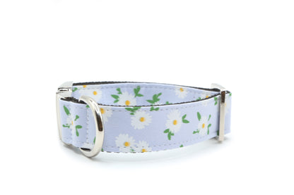 Daisy Meadow Dog Collar
