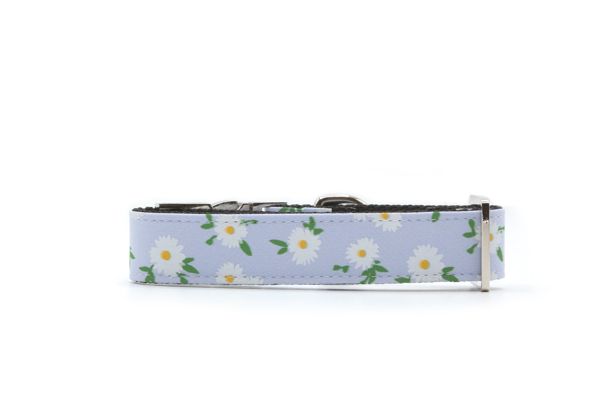 Daisy Meadow Dog Collar