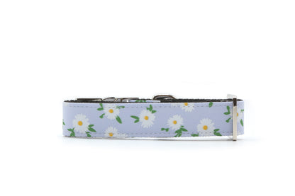 Daisy Meadow Dog Collar