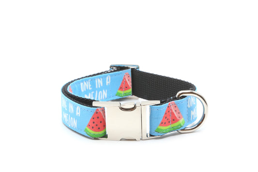 One in a Melon Watermelon Dog Collar