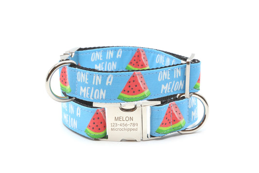 One in a Melon Watermelon Dog Collar