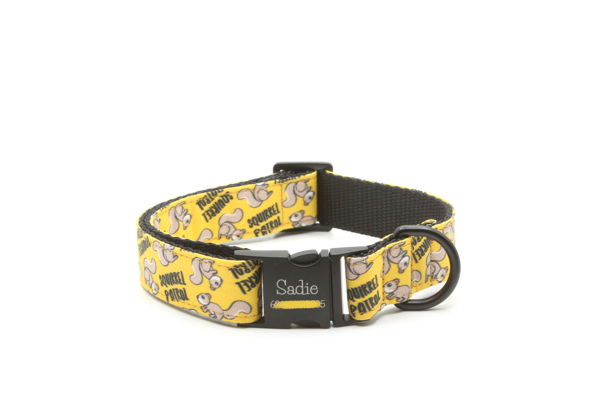 Squirrel Patrol Dog Collar