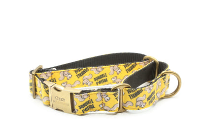 Squirrel Patrol Dog Collar