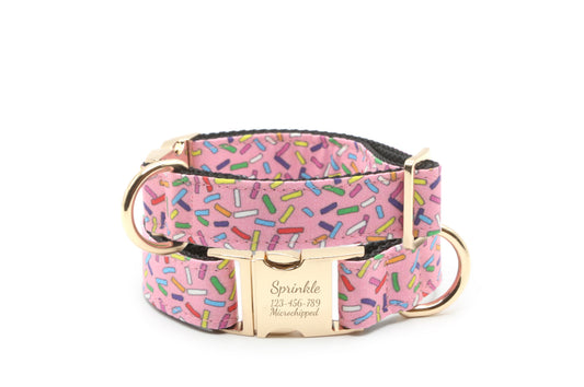 Rainbow Sprinkles Dog Collar