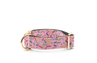 Rainbow Sprinkles Dog Collar