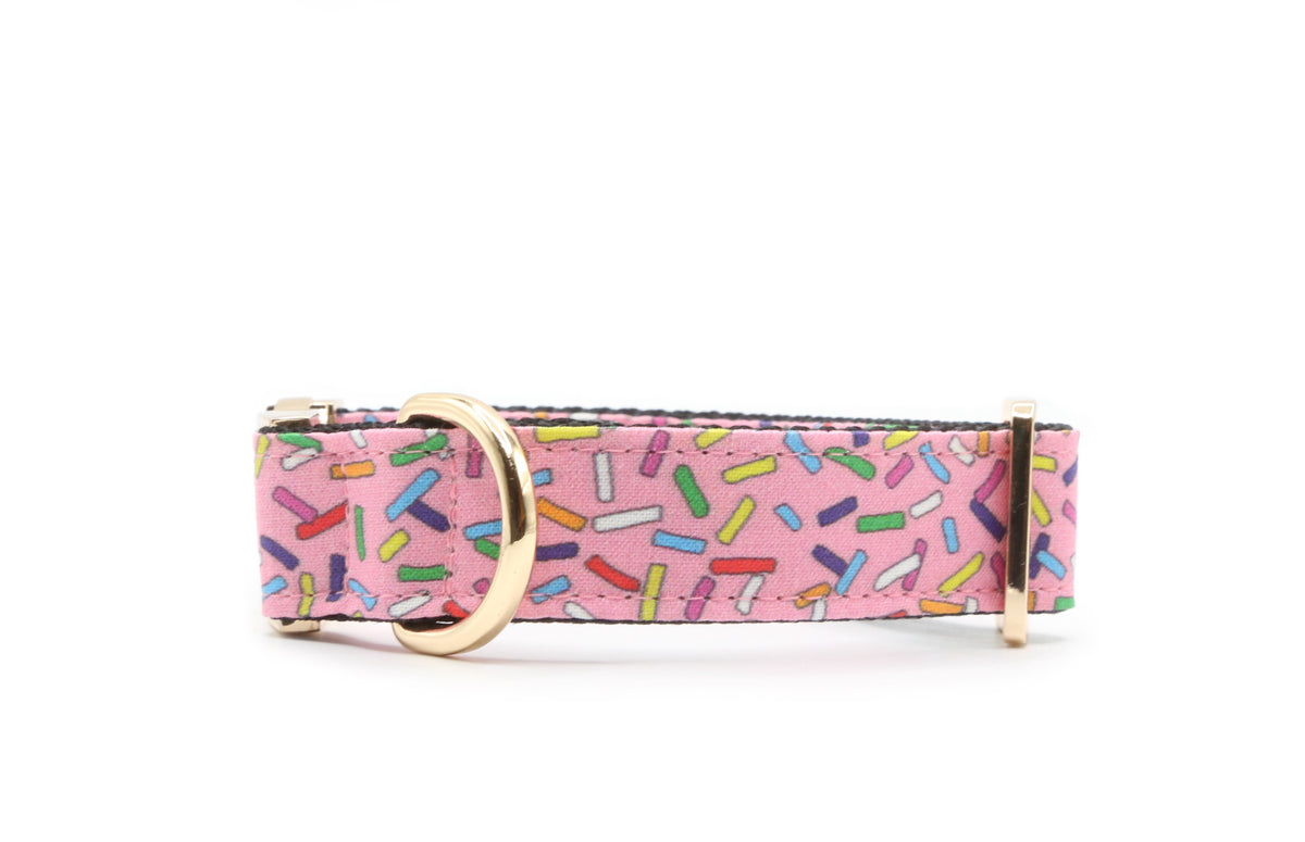 Rainbow Sprinkles Dog Collar
