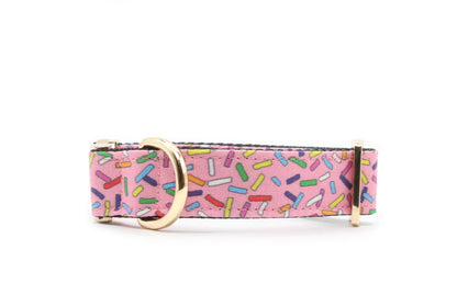 Rainbow Sprinkles Dog Collar