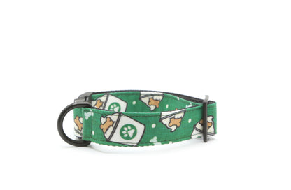 Puppuccino Dog Collar