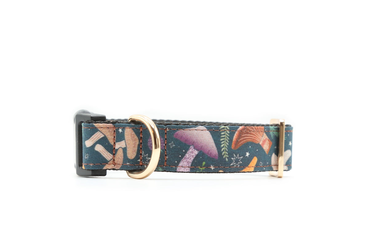 Woodland Foraging Mushroom & Berry Dog Collar