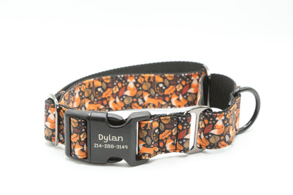 Autumn Fox Dog Collar