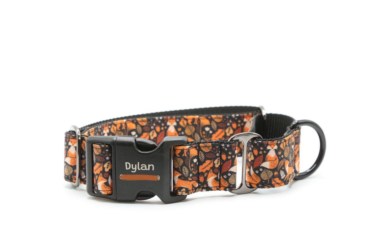 Autumn Fox Dog Collar