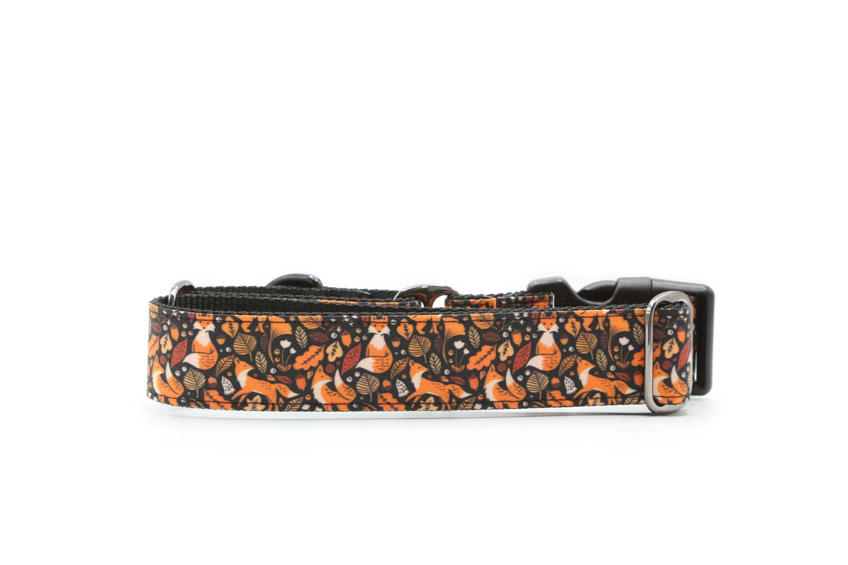 Autumn Fox Dog Collar