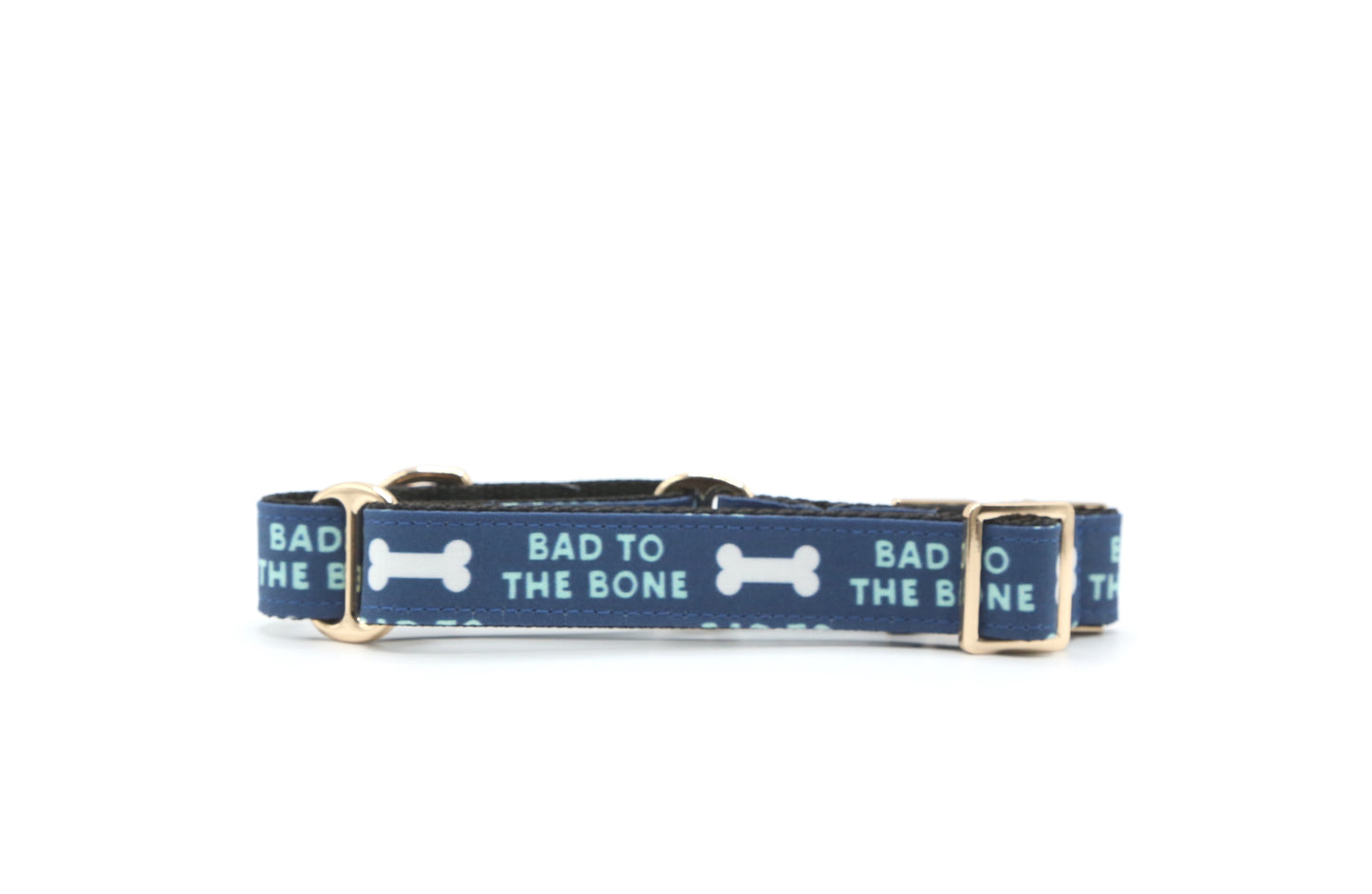 Bad to The Bone dog collar