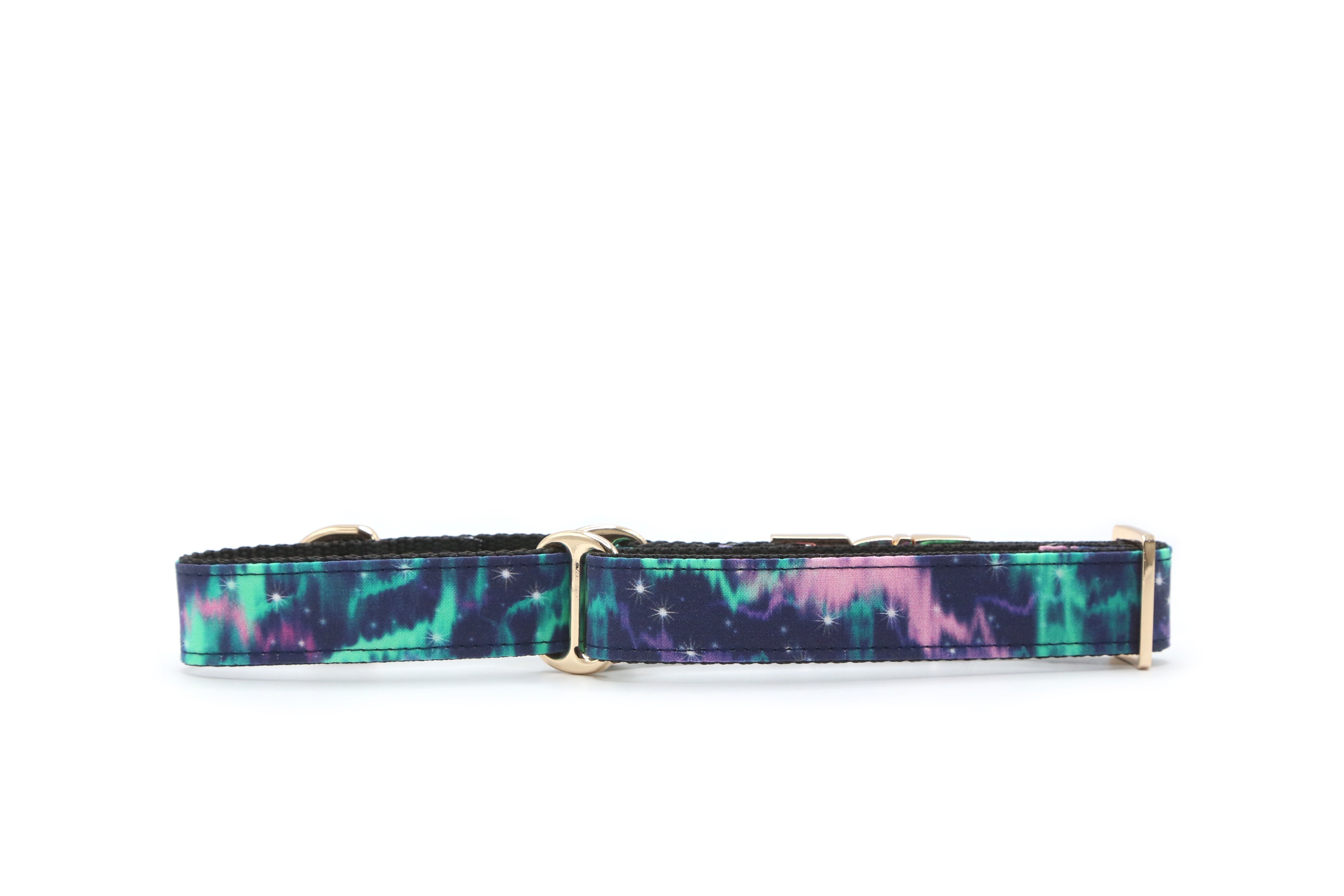 Aurora dog collar